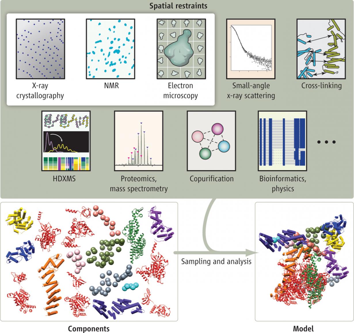 Assembly of protein complexes from varied information