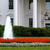 The White House.