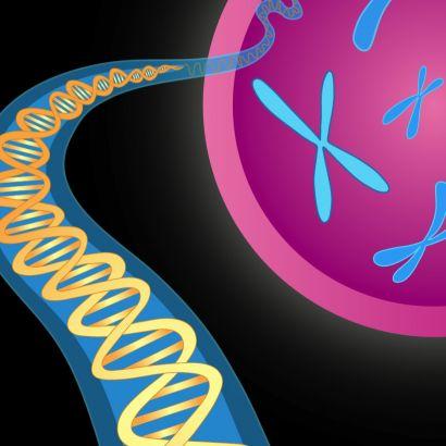 Illustration of chromosomes and double helix of DNA