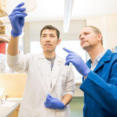 two scientists in laboratory