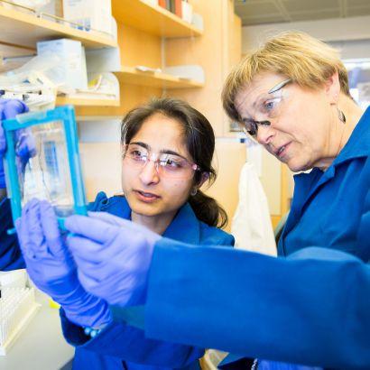 Kroetz and colleague review the results of an experiment